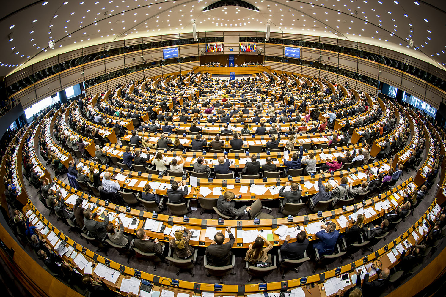 European Parliament votes on two major documents for young people of the EU